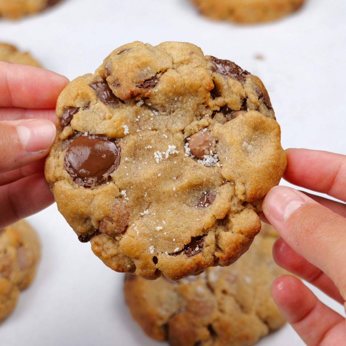 Le Coffret Signature - 4 cookies